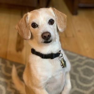 Meet your Posher, Juli